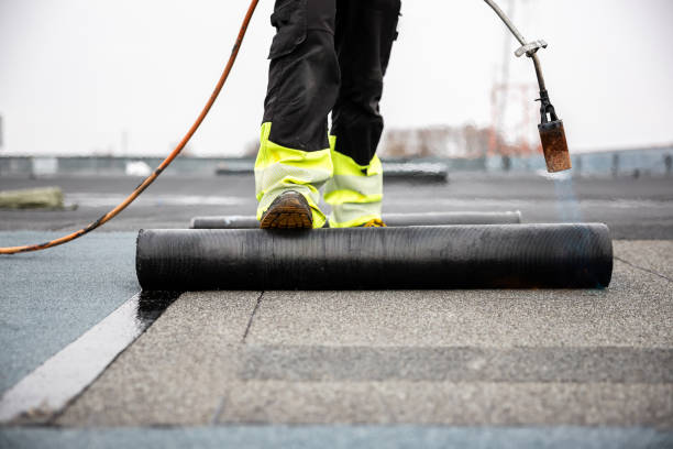Best Skylight Installation and Repair  in Millersport, OH